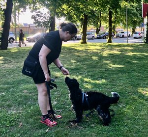 Cockerspaniel på privatträning med hundpsykolog